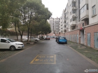 大新泰富花园实景图，拍摄于2024/11/25