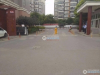 大新泰富花园实景图，拍摄于2024/11/25