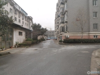 大新泰富花园实景图，拍摄于2024/11/25