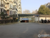 大新泰富花园实景图，拍摄于2024/11/25