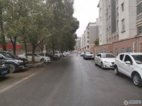 大新泰富花园实景图，拍摄于2024/11/25