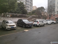 大新泰富花园实景图，拍摄于2024/11/25