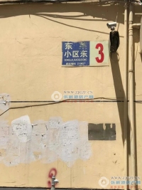 东莱小区实景图，拍摄于2024/11/25