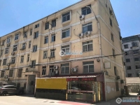 东莱小区实景图，拍摄于2024/11/25