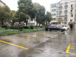 ����Сѧ�´����