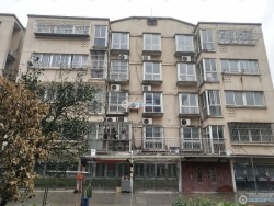 ����Сѧ�´����