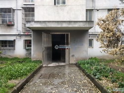 ����Сѧ�´����