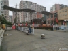 金港湾实景图，拍摄于2024/11/26