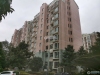 金港湾实景图，拍摄于2024/11/26