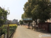 长江花苑B区实景图，拍摄于2024/11/26