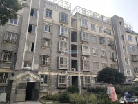 华亚花园实景图，拍摄于2024/11/26