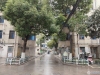 中兴安定新村实景图，拍摄于2024/11/26