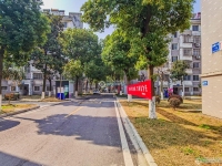 新塍小区塍德小区实景图，拍摄于2024/11/26