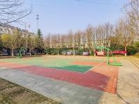 新塍小区塍德小区实景图，拍摄于2024/11/26