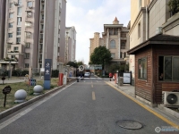 蝶湖湾实景图，拍摄于2024/11/26
