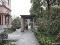 蝶湖湾实景图，拍摄于2024/11/26