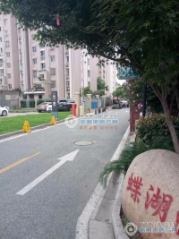 蝶湖湾实景图，拍摄于2024/11/26