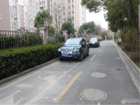 蝶湖湾实景图，拍摄于2024/11/26