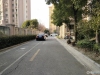 蝶湖湾实景图，拍摄于2024/11/26