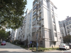 ���Է���