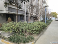 瑞丰苑实景图，拍摄于2024/11/26