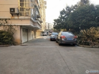 江南明珠实景图，拍摄于2024/11/26