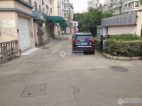 江南明珠实景图，拍摄于2024/11/26