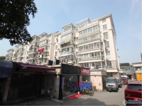 江南明珠实景图，拍摄于2024/11/26