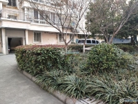 江南明珠实景图，拍摄于2024/11/26