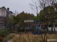 成鑫格兰郡实景图，拍摄于2024/11/26