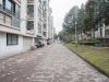 江帆花苑西区实景图，拍摄于2024/11/26