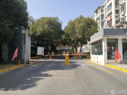 ������Է�������