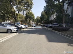 ������Է�������