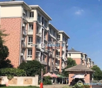 江帆花苑东区实景图，拍摄于2024/11/26