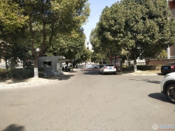 ������Է�������