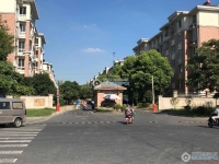 江帆花苑东区实景图，拍摄于2024/11/26