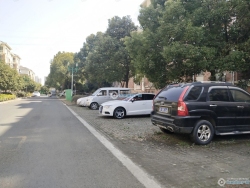 ������Է�������