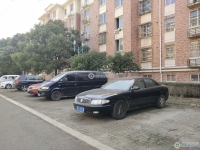 江帆花苑东区实景图，拍摄于2024/11/26