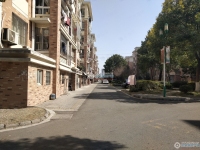 江帆花苑东区实景图，拍摄于2024/11/26