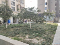北城之星实景图，拍摄于2024/11/26