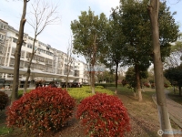 胡同新村实景图，拍摄于2024/11/26