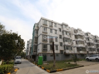 胡同新村实景图，拍摄于2024/11/26