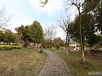 胡同新村实景图，拍摄于2024/11/26