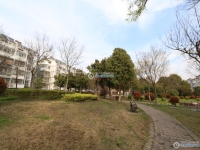 胡同新村实景图，拍摄于2024/11/26