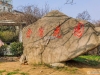 后塍金湾花园实景图，拍摄于2024/11/26