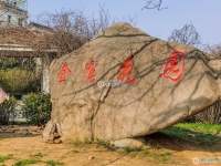 后塍金湾花园实景图，拍摄于2024/11/26