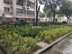 �Ϸ������Է���