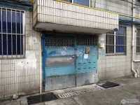 塘市聚丰新村实景图，拍摄于2024/11/26