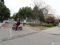 棋杆花苑实景图，拍摄于2024/11/26