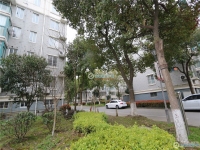 棋杆花苑实景图，拍摄于2024/11/26